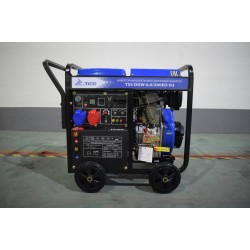 Инверторный дизельный сварочный генератор TSS DGW 6.0/200ED-R3